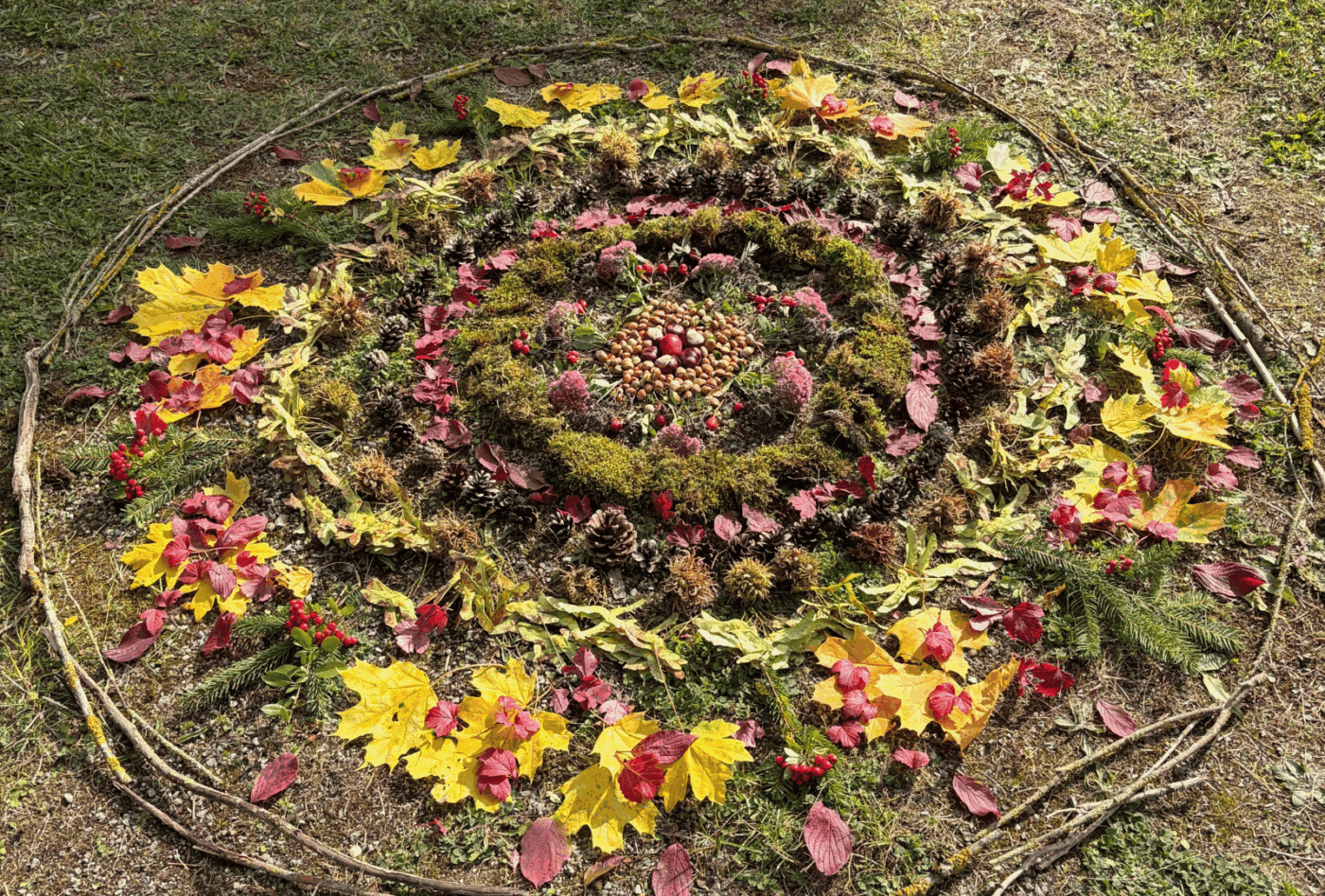 Kreisförmiges Herbstmandala aus gelben und roten Blättern, Moos, Zapfen, Zweigen und Beeren auf einer Wiese.