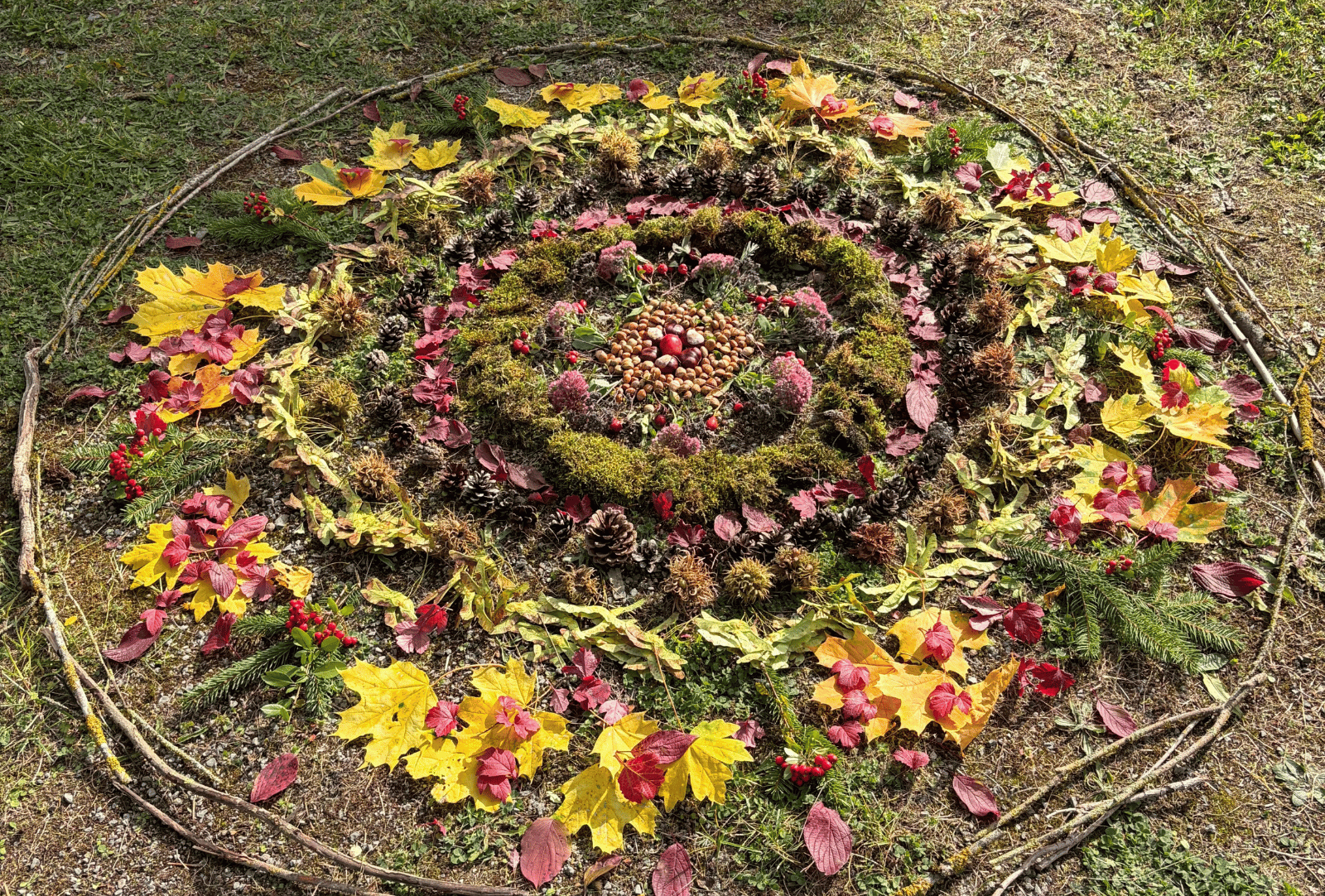 Kreisförmiges Herbstmandala aus gelben und roten Blättern, Moos, Zapfen, Zweigen und Beeren auf einer Wiese.